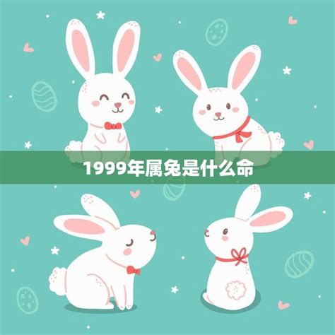 1999兔年|1999年属兔是什么命 1999年属兔人一生命运